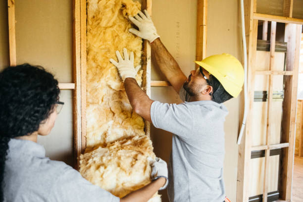Professional Insulation Contractor in Owosso, MI